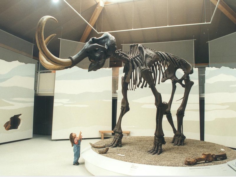 Mammutmuseum Siegsdorf